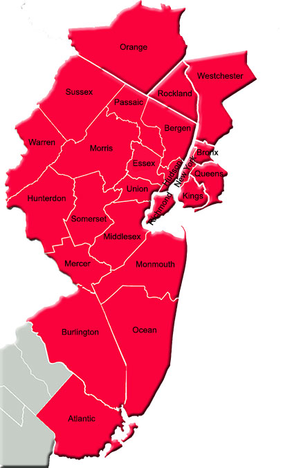 emergency it support services